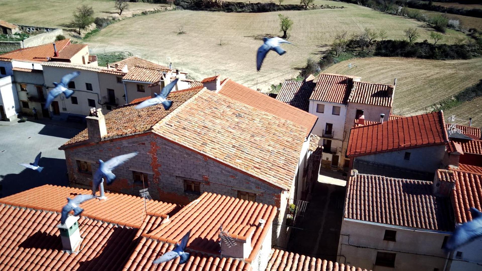 Rural Puebla De San Miguel Guest House Exterior photo